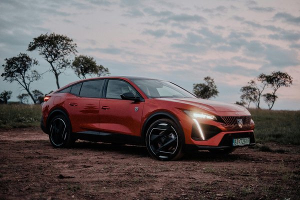 Immatriculation en ligne : suivez nos conseils pour gagner du temps